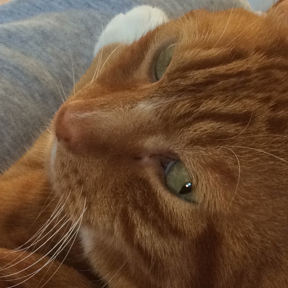 Meet your Posher, Miryam